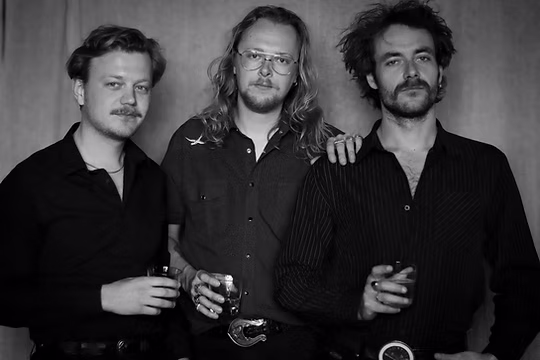 Teaser afbeelding voor Them Peckin' Boys